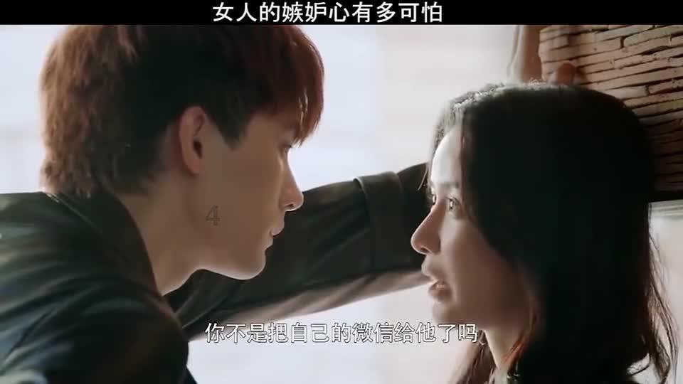 宇宙蜜蜂无敌版